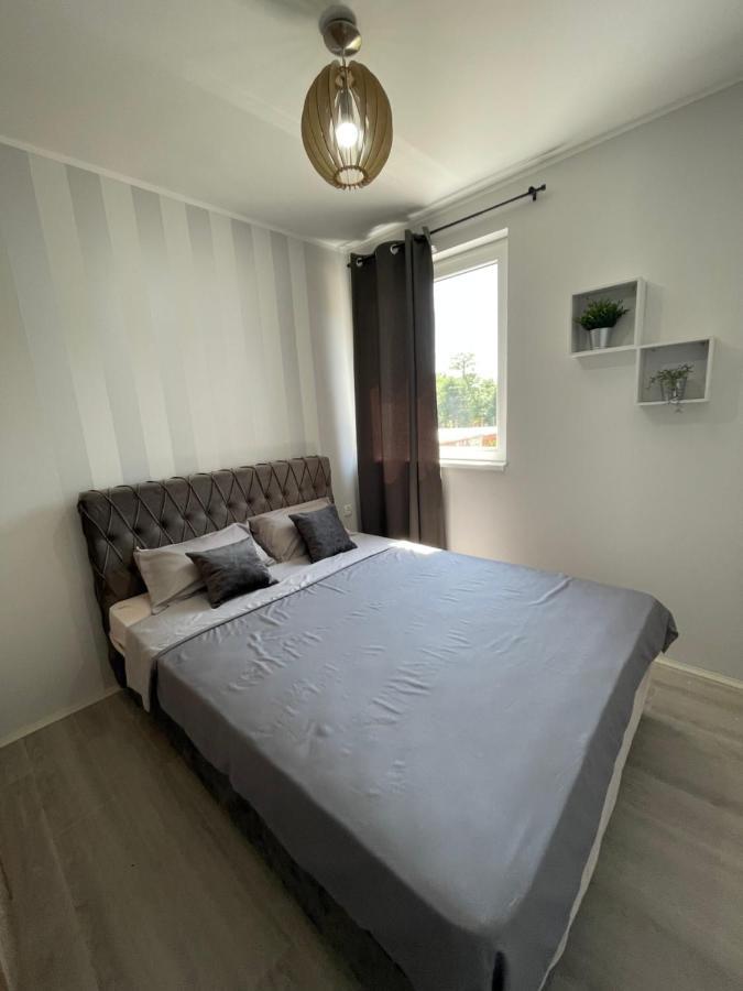 Apartmani Borova 2 Veliko Gradište Esterno foto